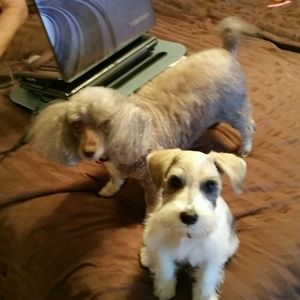 Meet your Posher, Djuna